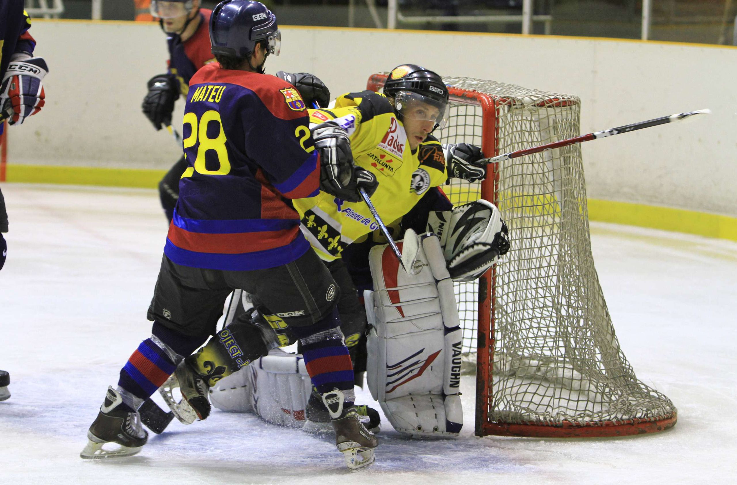 , CHH Txuri Urdin más líder en la LNHH, Real Federación Española Deportes de Hielo