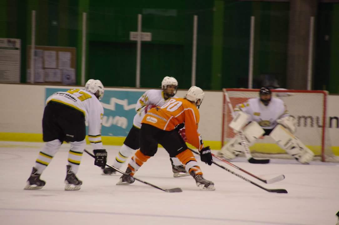 , Milenio Club Patín de Logroño logra la LNHH de segunda división, Real Federación Española Deportes de Hielo