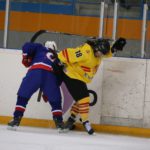 , Campeonato del Mundo Hockey Hielo Femenino, Jaca 2016, Real Federación Española Deportes de Hielo