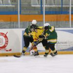 , Campeonato del Mundo Hockey Hielo Femenino, Jaca 2016, Real Federación Española Deportes de Hielo