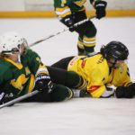 , Campeonato del Mundo Hockey Hielo Femenino, Jaca 2016, Real Federación Española Deportes de Hielo