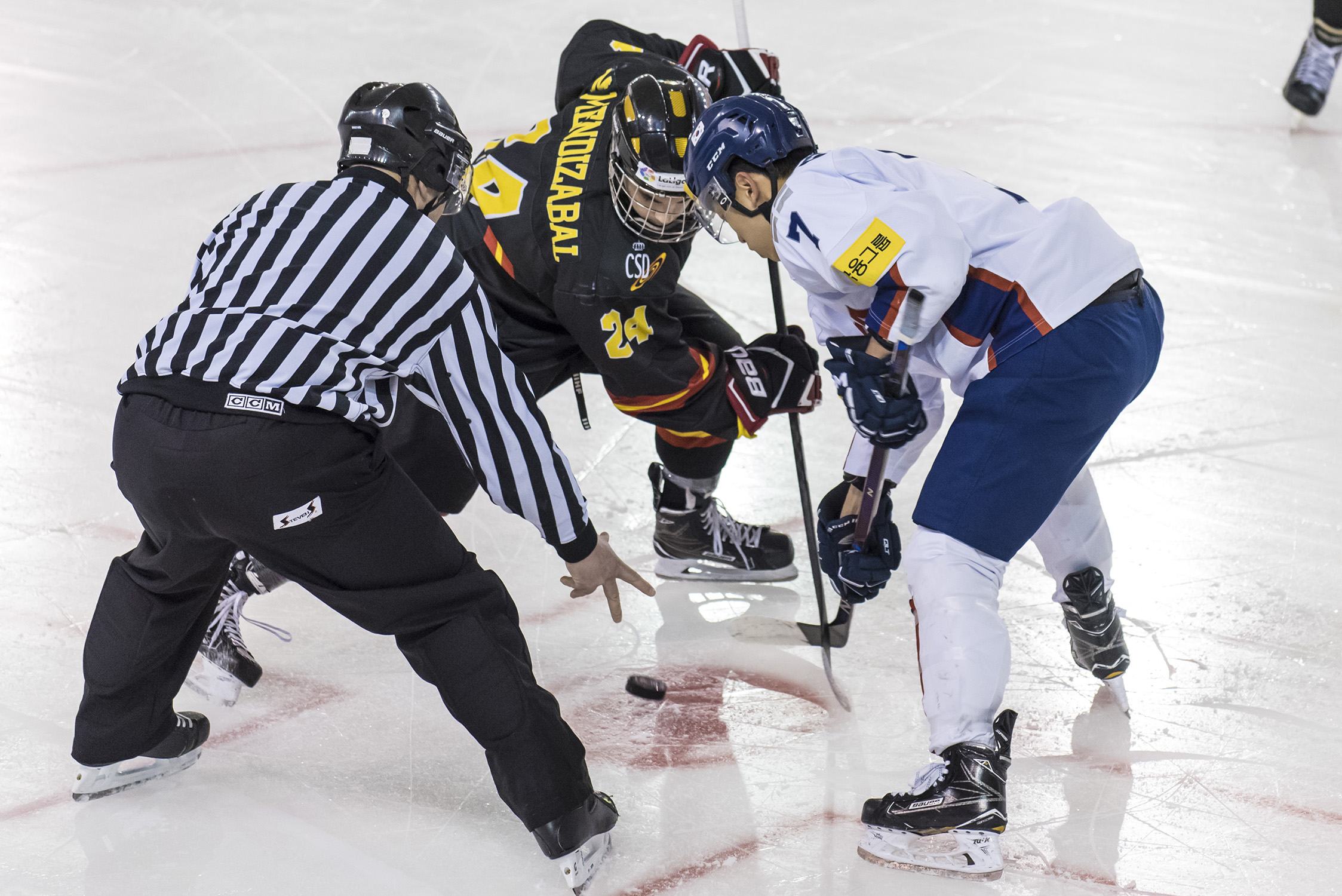 , España logra la plata en el Mundial U20 de Hockey Hielo, Real Federación Española Deportes de Hielo