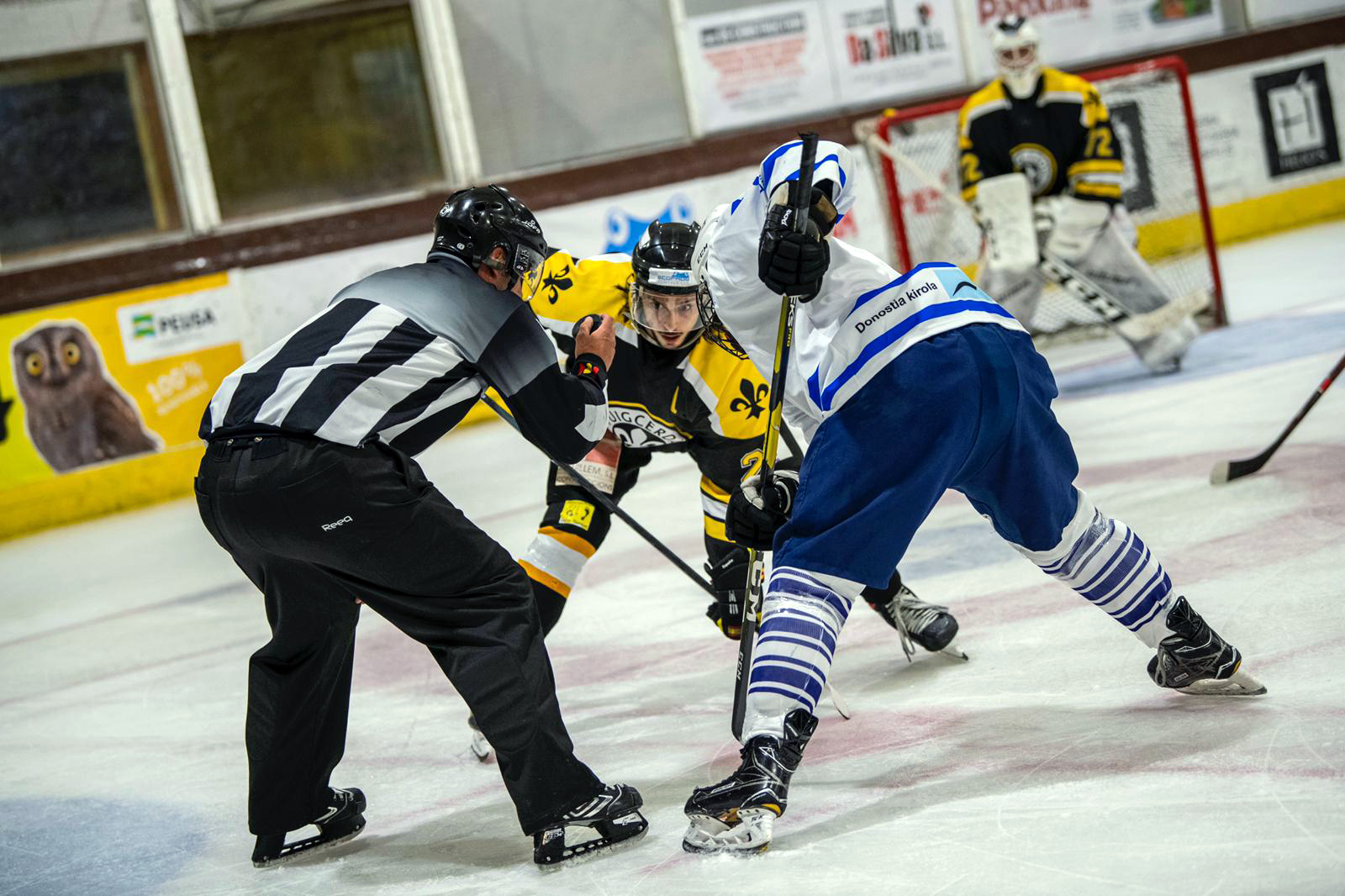 , El CG Puigcerdà golpea primero en casa (5-2), Real Federación Española Deportes de Hielo