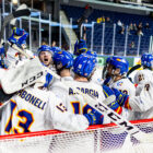 , Histórica permanencia de España en la División IB del Mundial de Hockey Hielo, Real Federación Española Deportes de Hielo