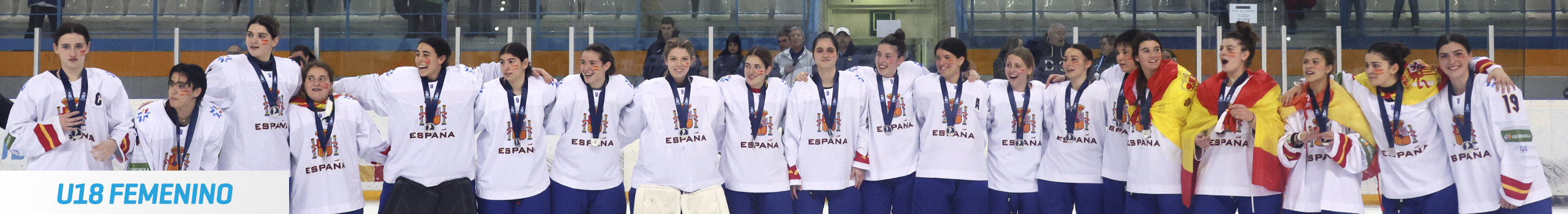 hockey hielo, Hockey Hielo: Selecciones Nacionales, Real Federación Española Deportes de Hielo