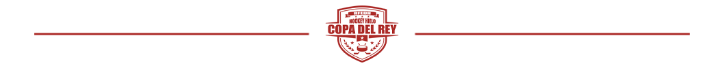 ayudas,RFEDH, Palmarés &#8211; Hockey Hielo, Real Federación Española Deportes de Hielo