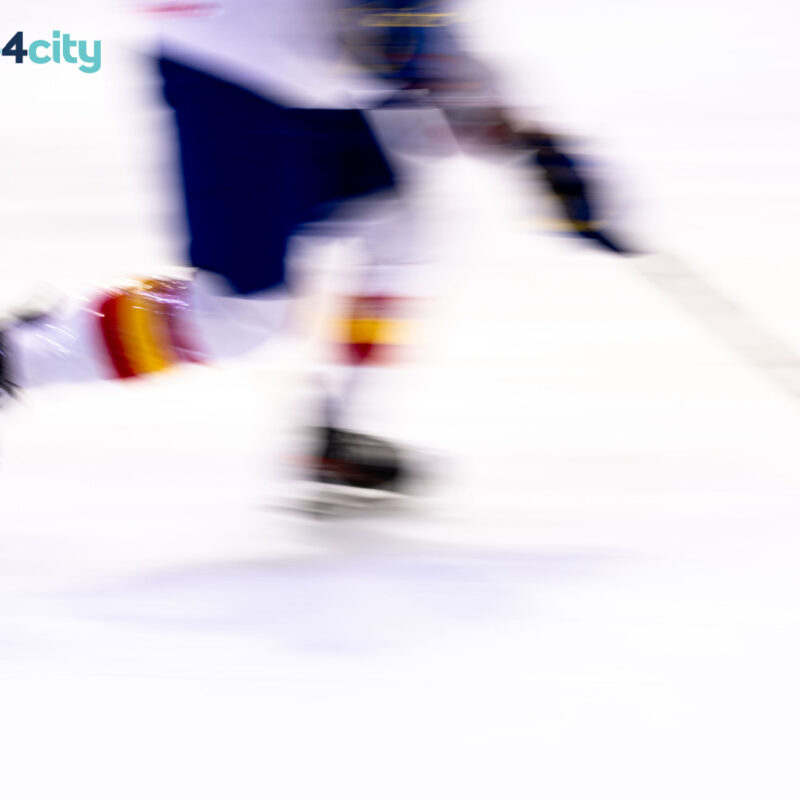 hockey hielo, León acoge este fin de semana una tecnificación de hockey hielo 3&#215;3, Real Federación Española Deportes de Hielo